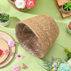 Healifty Woven Plant Baskets with Liner: 2Pcs Round Wicker Seagrass Planter Pots Rattan Straw Baskets Covers for Indoor Outdoor Flower Plants Rustic Home Farmhouse Garden Decor 9.05 X 9.05 X 6.49''