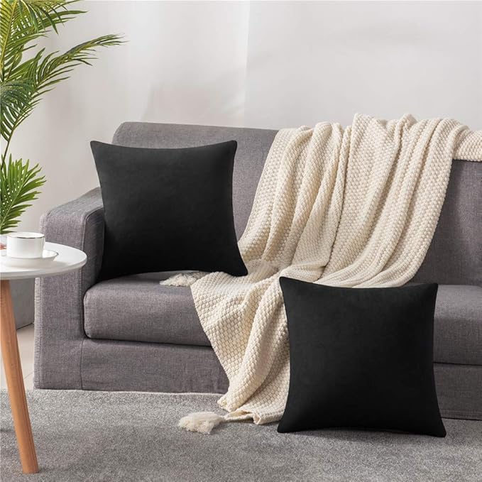 Throw Pillow Covers 20x20 Black: Pack of 2 Cozy Soft Velvet Square Modern Luxury Decorative Throw Pillow Cases for Sofa Couch Living Room Bed Home Decor