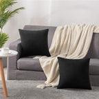 Throw Pillow Covers 20x20 Black: Pack of 2 Cozy Soft Velvet Square Modern Luxury Decorative Throw Pillow Cases for Sofa Couch Living Room Bed Home Decor