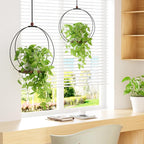 Hanging Planters for Indoor Plants: Macrame Plant Hanger with Sturdy Wood Base, Wall Ceiling Window Decor for Home Garden Patio Office, Housewarming Gift (Pot/Plant Not Included)
