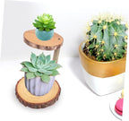 Boho Decor Plant Pot Holder Solid Wood Flower Stand Balcony Display Rack Decorative Cake Shelf