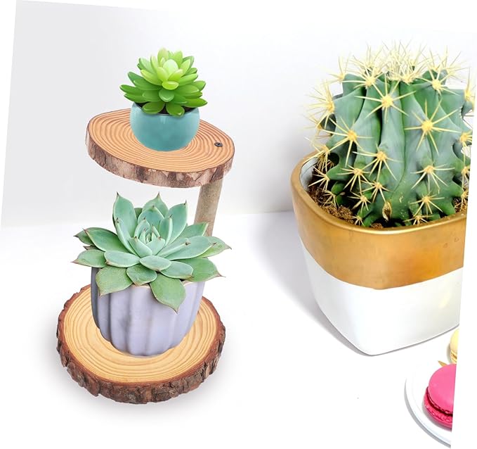 Boho Decor Plant Pot Holder Solid Wood Flower Stand Balcony Display Rack Decorative Cake Shelf
