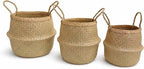 Seagrass Plant Basket Set of 3 with Handles – Handwoven Woven Basket Planter, Indoor Plant Basket & Plant Holder Basket, Natural Fiber Wicker Plant Pot Basket for Boho Farmhouse Home Decor
