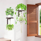 iDavosic.ly Wall Plant Holder Set of 2 for Indoor Outdoor, Metal Hanger with 2 Hooks, Floating Flower Display Stand for Window, Space Saving & Easy to Assemble (Pots/Plants Not Included), Bronze