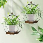 Hanging Planter for Indoor Plants,Plant Hanger with Sturdy Wood Base & Pot, Modern Boho Macrame Plant Hanger,Wall Ceiling Window Stands(2 Pack+Pots)