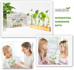 Plant Propagation Station, Plant Terrarium with Wooden Stand for Hydroponics Plants Office Decor Unique Gardening Gifts for Women Plants Lovers - 10 Glass Test Tube Vases
