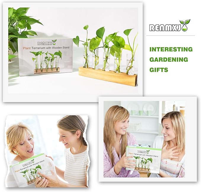 Plant Propagation Station, Plant Terrarium with Wooden Stand for Hydroponics Plants Office Decor Unique Gardening Gifts for Women Plants Lovers - 10 Glass Test Tube Vases