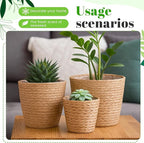 3 Pack Seagrass Plant Basket Indoor with Artificial Moss 3 Sizes Woven Baskets Flower Pots Planters for Home Decor
