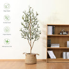 Kazeila Artificial Olive Tree 5FT Tall Faux Silk Plant for Home Office Decor Indoor Fake Potted Tree with Wood Branches and Fruits, 2 Pack