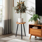 Plant Stand Indoor, Wood Plant Table Plant Holder with Raised Design,Heavy Duty Metal Flower Pot Stand, Mid Century Modern Home Decor Small Side End Table（Clr.2-Flower 20" H）
