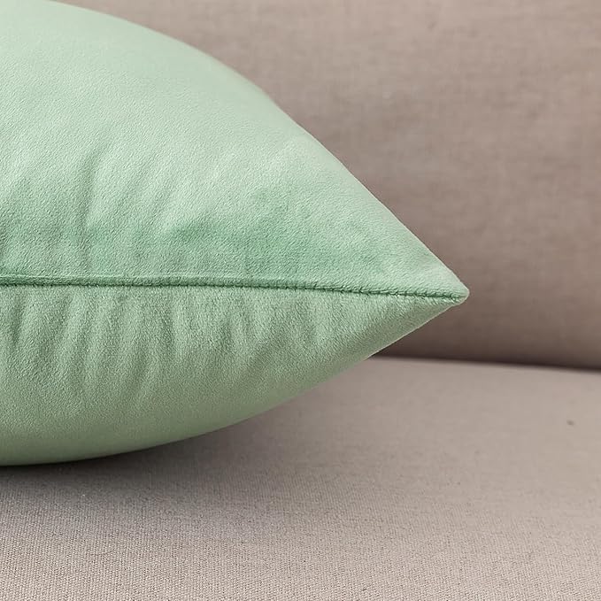NiNi ALL Decorative Sage Green Throw Pillow Covers Pack of 2 Velvet 14x14 Inch Throw Pillow Cases for Couch Pillows Cover Bedroom Living Room Outdoor Pillows Cover