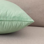 NiNi ALL Decorative Sage Green Throw Pillow Covers Pack of 2 Velvet 14x14 Inch Throw Pillow Cases for Couch Pillows Cover Bedroom Living Room Outdoor Pillows Cover
