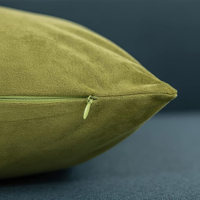 Throw Pillow Covers 20x20 Chartreuse: Pack of 2 Cozy Soft Velvet Square Modern Luxury Decorative Throw Pillow Cases for Sofa Couch Living Room Bed Home Decor