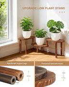 Concave Plant Shelf Indoor,3 Tiers Deformable Oval Plant Stand,Heavy Duty Long Flower Pot Stand for Multiple Plants,Low Plant Holder for Patio Balcony Living Room Office