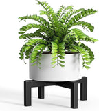 Plant Stand Holder Single Plant Riser For Indoor Outdoor Flower Pot Stand Tall 3.6 IN Metal Black