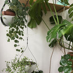 Hajia Waterdrop Shaped Hanging Planter, Metal Plant Hanger with Non-Detachable Pot, Hanging Plant Holder for Wall and Ceiling Decor.(No Plants and Drainage Holes) (Black, Medium 1 Pack)