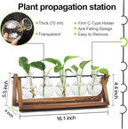Plant Propagation Station, Propagation Vases for Plants, Unique Gardening Birthday Gifts for Women Plant Lovers Mom Best Friend - 5 Bulb Glass Vases