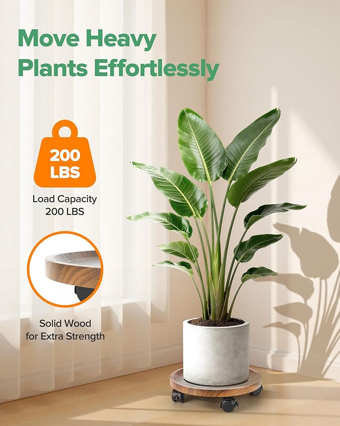 2 Pack Plant Caddy with Wheels, 12" Wood Rolling Plant Stand with 360° Lockable Wheels, Plant Stands Outdoor for Large Plants, Flower Cart Plant Dolly Plant Caster for Heavy Objects, Walnut