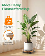 2 Pack Plant Caddy with Wheels, 12" Wood Rolling Plant Stand with 360° Lockable Wheels, Plant Stands Outdoor for Large Plants, Flower Cart Plant Dolly Plant Caster for Heavy Objects, Walnut