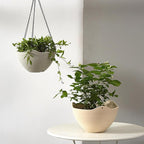 Hanging Planters for Indoor Plants 3 Pack - 7/8/10 Inch Plastic Hanging Pots with Water Sieve Mesh, Small Hanging Pots for Home Garden, Porch, Balcony & Patio Decor, Beige