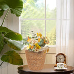 BESPORTBLE 2Pcs Seagrass Basket Covers for Indoor Plants Unique Decorative Storage Baskets Versatile Flower Pot Liners for Living Room Bedroom and Kitchen Decor