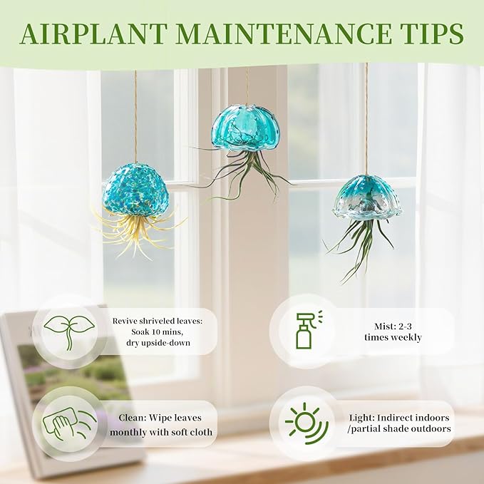 Glasseam Hanging Air Plant Holder: 3Pcs Glass Jellyfish Air Plant Hanger with Jute Ropes for Tillandsia Succulent Houseplants - Cute Airplant Display Container for Indoor Home Decor