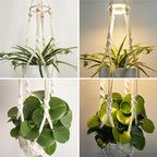 2 Pack Macrame Plant Hanger with Grow Light: Boho Hanging Planters with Light for Indoor Plants, Ideal for Apartments, Small Spaces, Low-Light Rooms (GrowPro Spectrum)