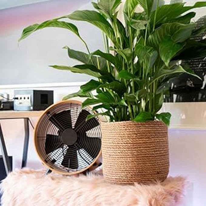 Seagrass Flower Pot - Woven Plant Pot - Decorative Plant Basket with Plastic Film Insert in Boho Style S Easy to Use High Guality