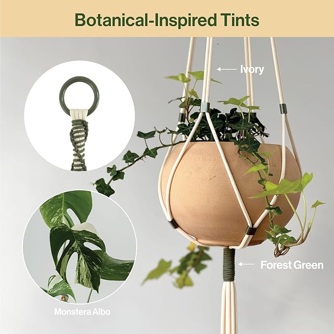 2 Packs Macrame Plant Hanger Colored Braided Polyester Rope Outdoor Indoor Adjustable Hanging Planter for up to 10 Inch Plant Pot Modern Boho Home Decor (Ivory/Forest Green)