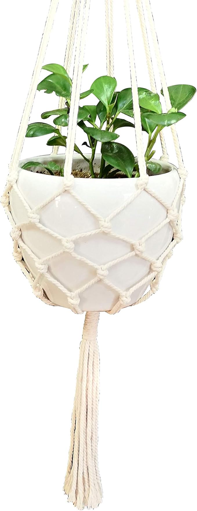 Macrame Plant Hanger Hanging Planter Hanging Net Basket Cotton Rope 52 Inch for 10 inch Pot, Pot and Plant Excluded (Beige)