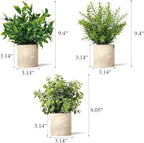 Artificial Plants 3 Pack Mini Fake Hanging with Macrame Plant Hangers Decorative Faux Greenery Decor for Shelves Wall Kitchen Farmhouse Bathroom Home Office