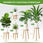 5-Pack Wood Plant Stands Indoor, Single Plant Stand for 6-22 Inch Pots, Mid-Century Modern Plant Stool, Tall Plant Stand for Large Plants Perfect Fit for Living Room, Balcony, Office (Light Brown)