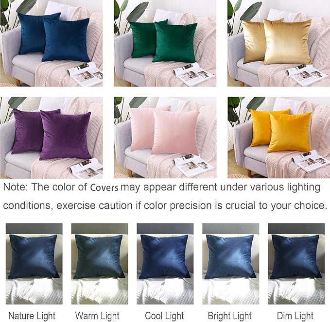 2 Pack Soft Velvet Couch Throw Pillow Covers 20x20 Inch for Sofa Living Room Bedroom (Pink)