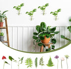 XXXFLOWER Wall Hanging Glass Terrariums，Clear Planters Propagation Station Glass Flower Vase,Air Plant Terrariums for Hydroponic Plants,Home Office Decor,Gifts,Heart-Shaped Set of 4