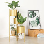 SSS Furniture Corner Plant Stand Indoor Metal, 6 Tier 6 Potted Outdoor Flower Pot Stands Holder Shelves for Living Room, Potted Storage Shelf Rack, Decorative Holder Rack for Multiple Plants (Golden)