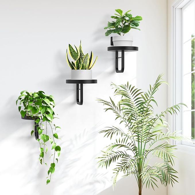 Wall Plant Holder, 7.9 Inch Hanging Plant Holder Wall Planters for Indoor Plants, Wall Mounted Plant Holder Window Plant Shelves for Outdoor Metal Wall Planter Black 3Pcs