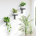 Wall Plant Holder, 7.9 Inch Hanging Plant Holder Wall Planters for Indoor Plants, Wall Mounted Plant Holder Window Plant Shelves for Outdoor Metal Wall Planter Black 3Pcs