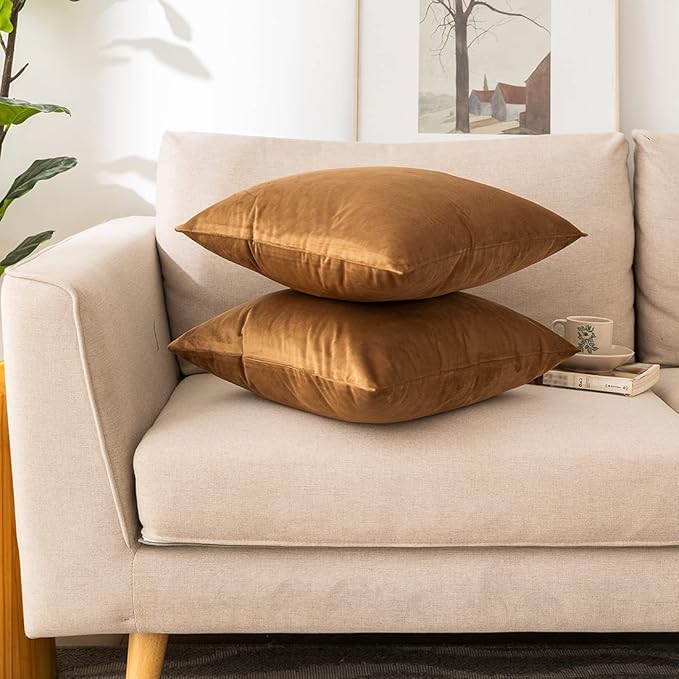 NiNi ALL Decorative Throw Pillow Covers Pack of 2, Velvet Cushion Case for Couch Bedroom Living Room Outdoor, Pillow Covers 24x24 Inch（60 x 60 cm） Brown