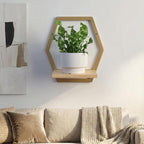 Modern Golden Hexagon Wall Planters with Solid Wood Shelves Set of 3 Geometric Floating Wall Decor for Indoor Plants, Stylish Wall Mounted Display for Succulents & Small Plants