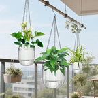 Self-Watering Hanging Planter for Indoor Plants - Easy Care, Long Lasting - Perfect for Herbs, Succulents, and More (White Transparent)