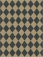 Lessymo Checkered Easy Jute 5x7 Area Rugs, Washable Patio Rug for Living Room Farmhouse Indoor Outdoor Carpet, Geometric Non Slip Black Carpet for Bedroom Backyard Dining Room, Diamond Black/Beige