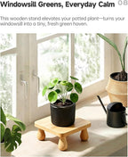 100% Solid Wood Plant Stand Indoor, Wooden Stool Display Stand, Riser Flower Pot Holder, Modern Plants Rack, Small Planter Tray for Home Decor, Living Room, Gardening, Natural (1PC)