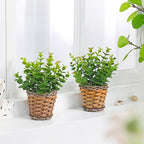 2 Pack Small Fake Plants Eucalyptus Potted Artificial Plant for Table,Bathroom,Farmhouse, Home Décor