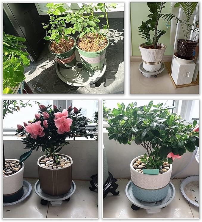 10 Inch Plant Caddy with Wheels & Water Container, 10.4" Round Plant Tray with Water Drawer, Rolling Planter Stand, for Indoor Outdoor, Bearing 110 Lbs, 2 Pack