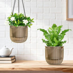 Halatool 2 Pack Self Watering Hanging Planters for Indoor Plants- 6.5 Inch Outdoor Hanging Flower Pots with 2 Metal Chains for Garden Home Wall Decor (Starry Gray)