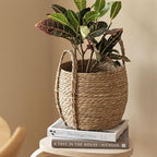 Woven Plant Basket, Wicker Basket for Plants, Handwoven Round Baskets, Garden Pots for Indoor, Small Boho Storage Bin Organizer, Rustic Baskets for Plants and Home Decor