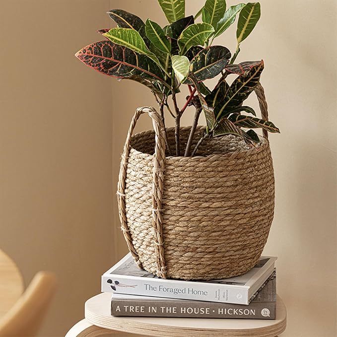Woven Plant Basket, Wicker Basket for Plants, Handwoven Round Baskets, Garden Pots for Indoor, Small Boho Storage Bin Organizer, Rustic Baskets for Plants and Home Decor