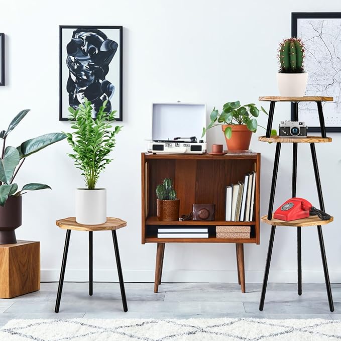 Frcctre 3 Pack Indoor Plant Stand, Wooden Mid Century Plant Stand Tall Plant Table Plant Holder Plant Riser for Flower Pots, Modern Home Decor Octagonal Shape Small Side End Table