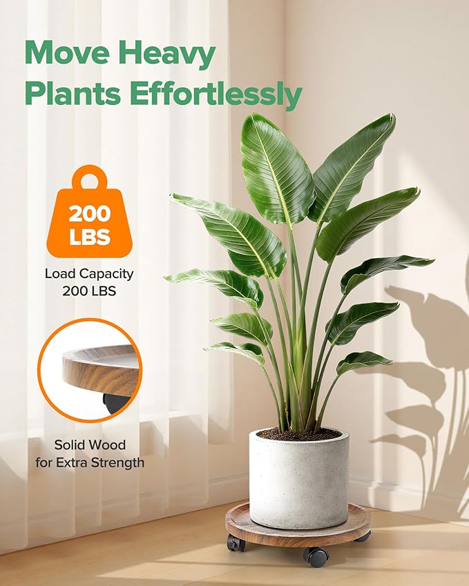 2 Pack Plant Caddy with Wheels, 14" Wood Rolling Plant Stand with 360° Lockable Wheels, Plant Stands Outdoor for Large Plants, Flower Cart Plant Dolly Plant Caster for Heavy Objects, Walnut