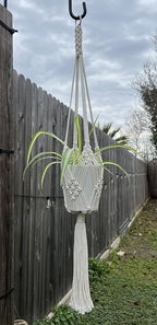 2 Pack Macrame Planter Hanger for up to 8" Pot, Indoor Hanging Planter | Plant Hanger Indoor, Hanging Plants Holder Basket | No Plant or Pot Included